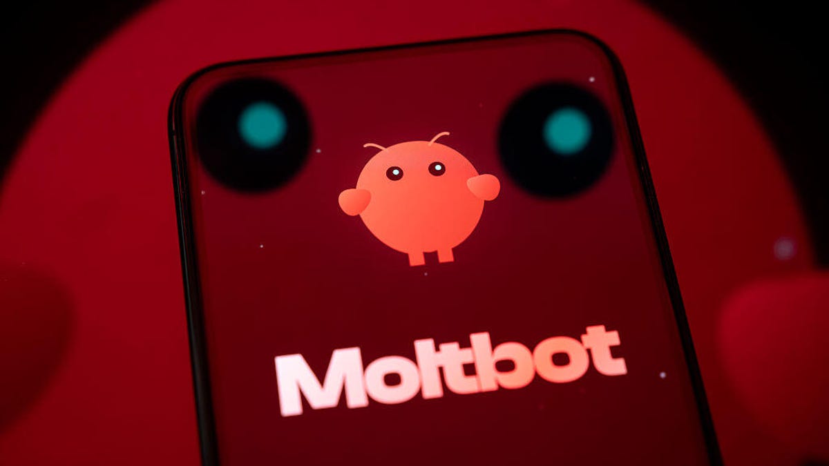 Moltbot Faces Security Concerns Amidst AI Innovation